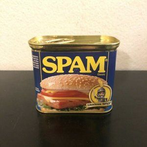 Brand New Spam Bank Security Coin Money Bank